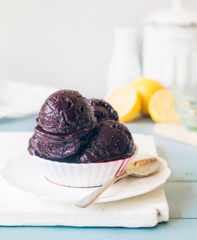 Wild Blueberry Sorbet