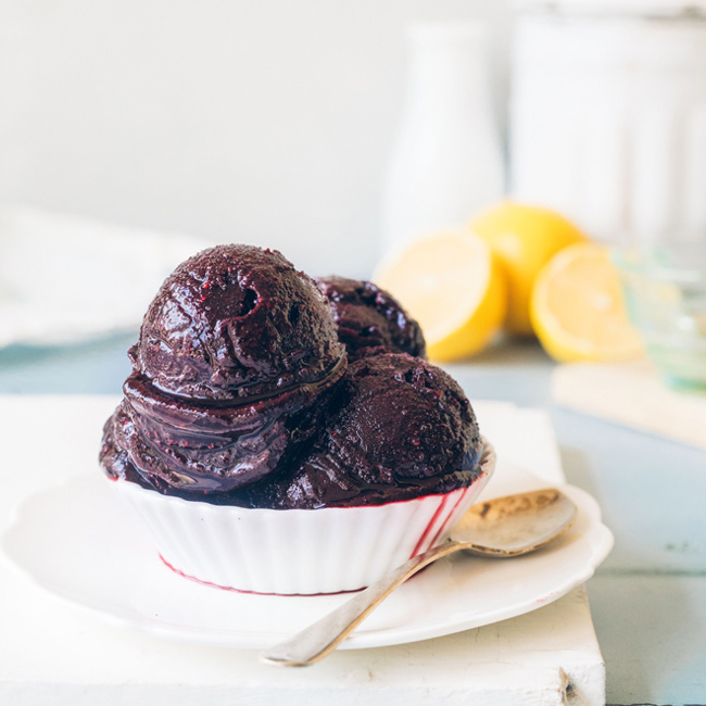 Wild Blueberry Sorbet