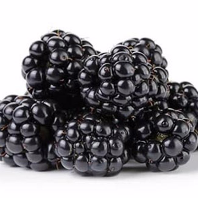Blackberries