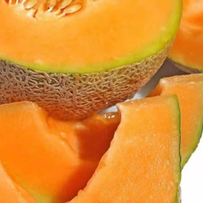 Cantaloupe