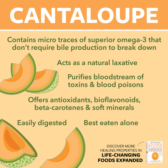 Cantaloupe