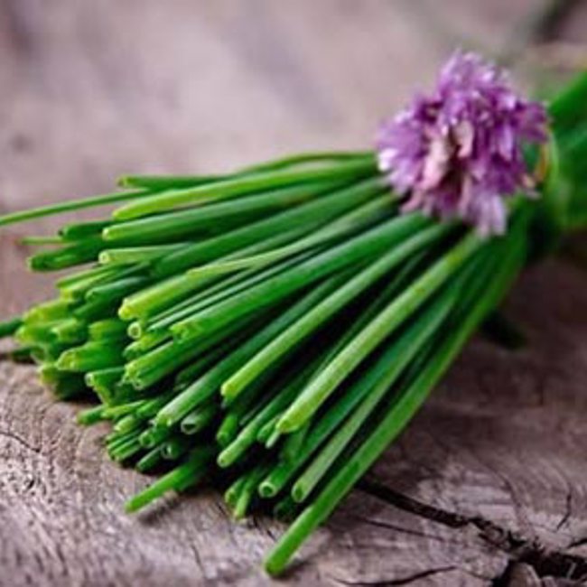 Chives