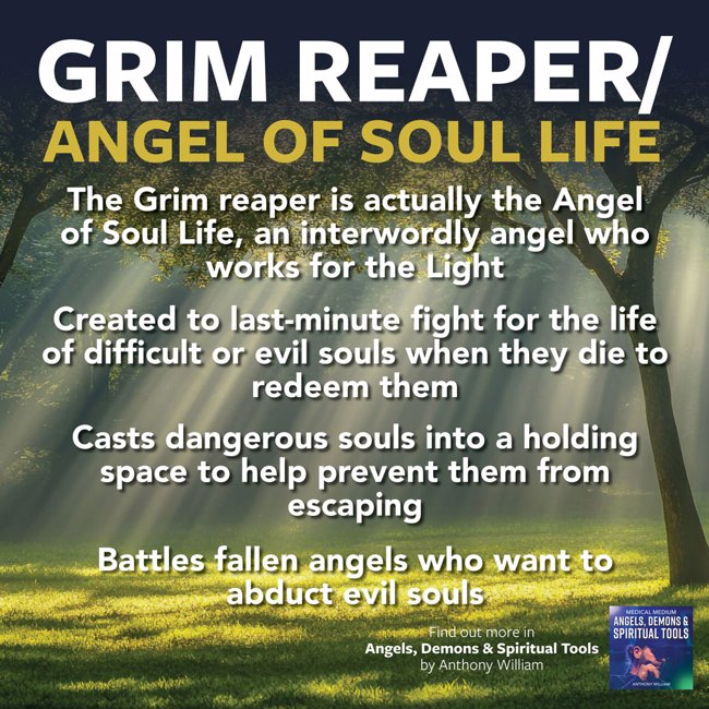 Grim Reaper / Angel of Soul Life