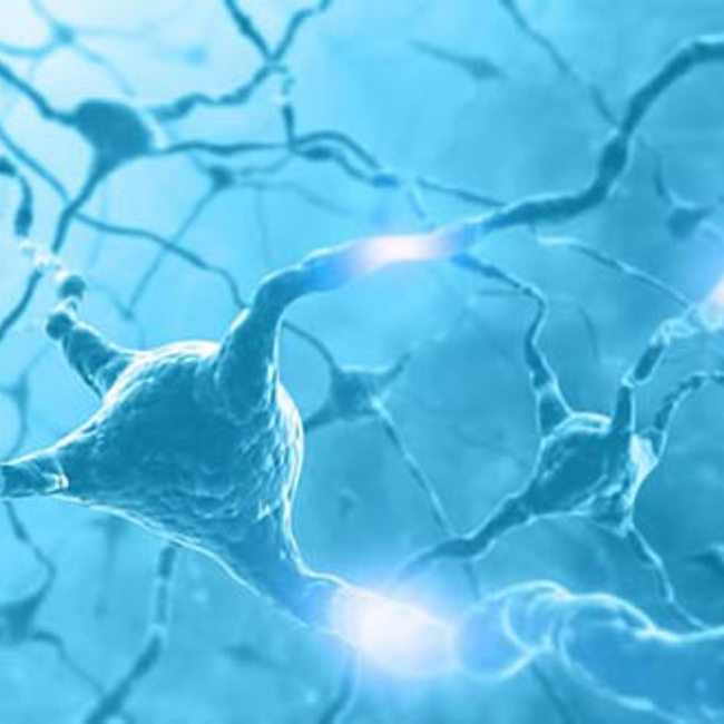 Healing Your Neurological System