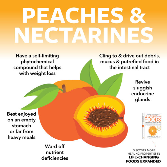 Peaches & Nectarines
