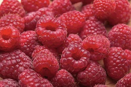 Raspberries