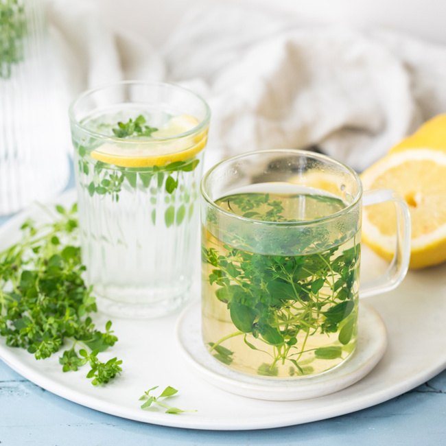 Fresh Oregano Tea & Water
