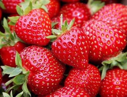 Strawberries