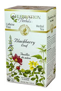 Blackberry Leaf Tea